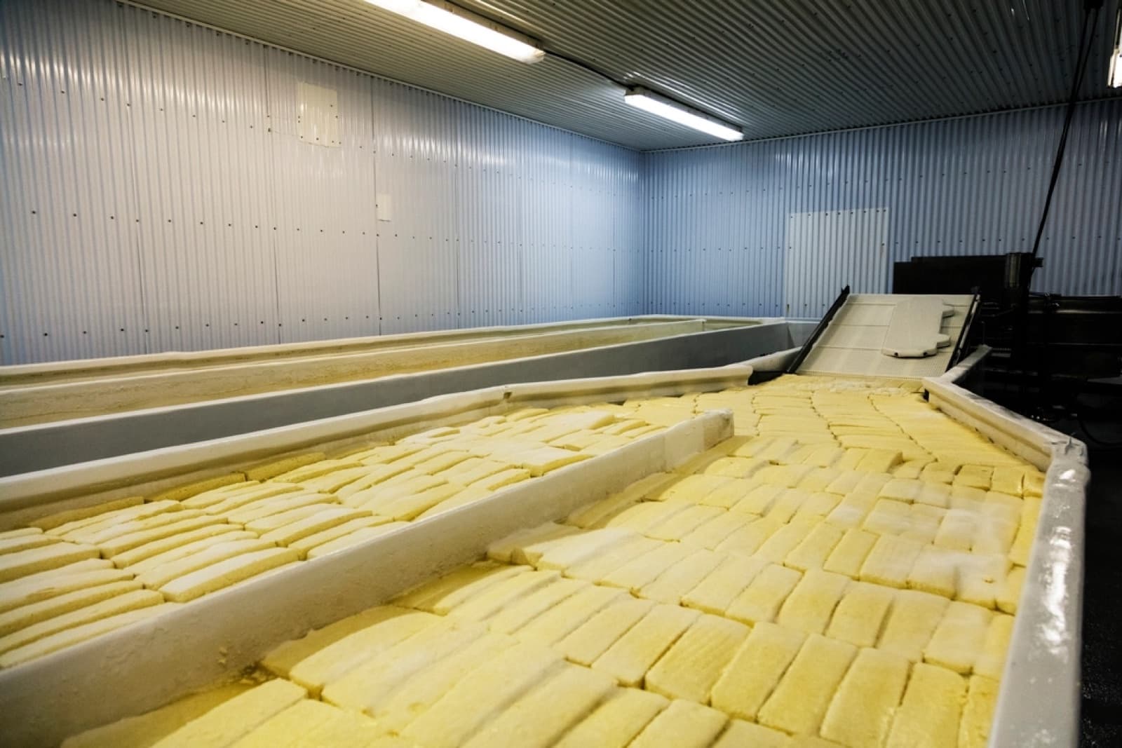 Línea de producción de una planta quesera