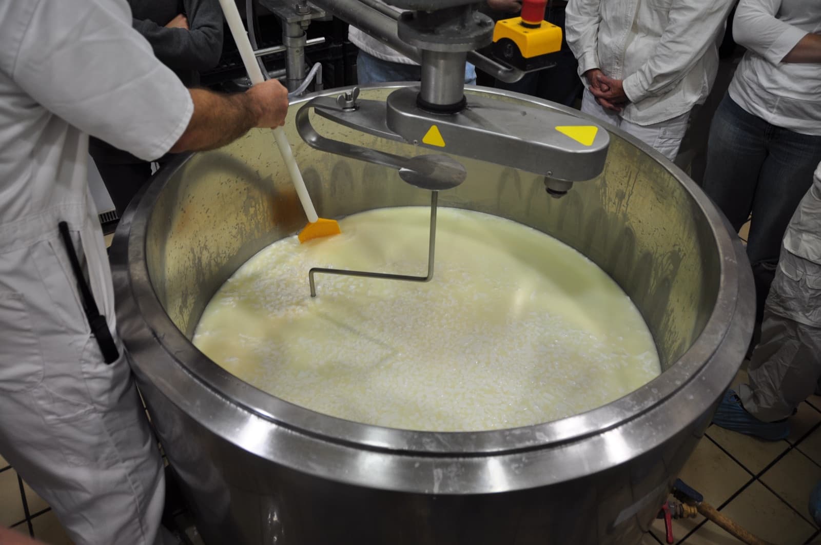 Cuajada y suero en una tina de elaboración